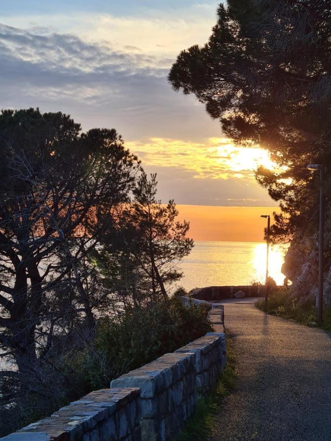 Olive Garden Apartment Petrovac المظهر الخارجي الصورة