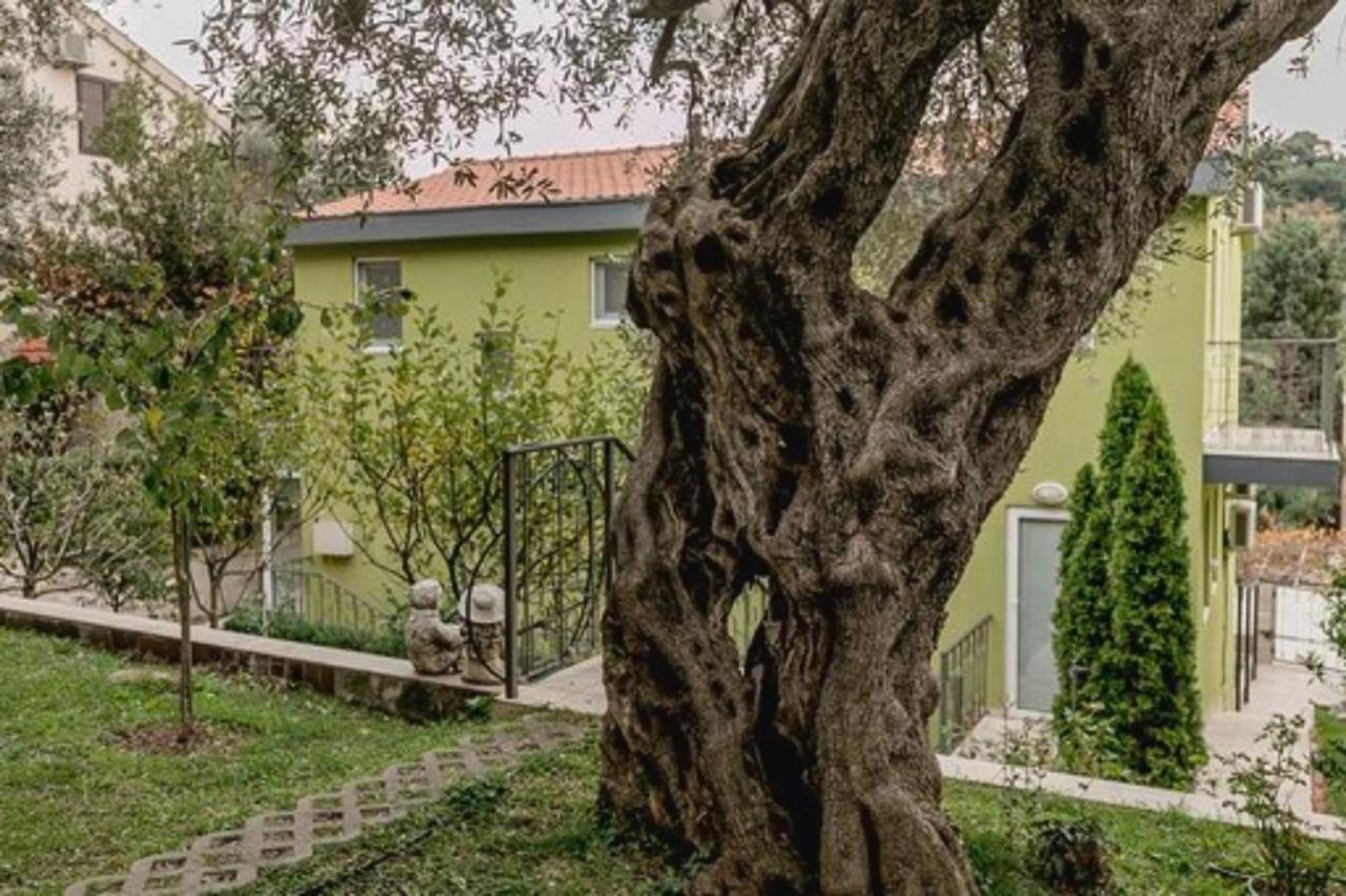 Olive Garden Apartment Petrovac المظهر الخارجي الصورة